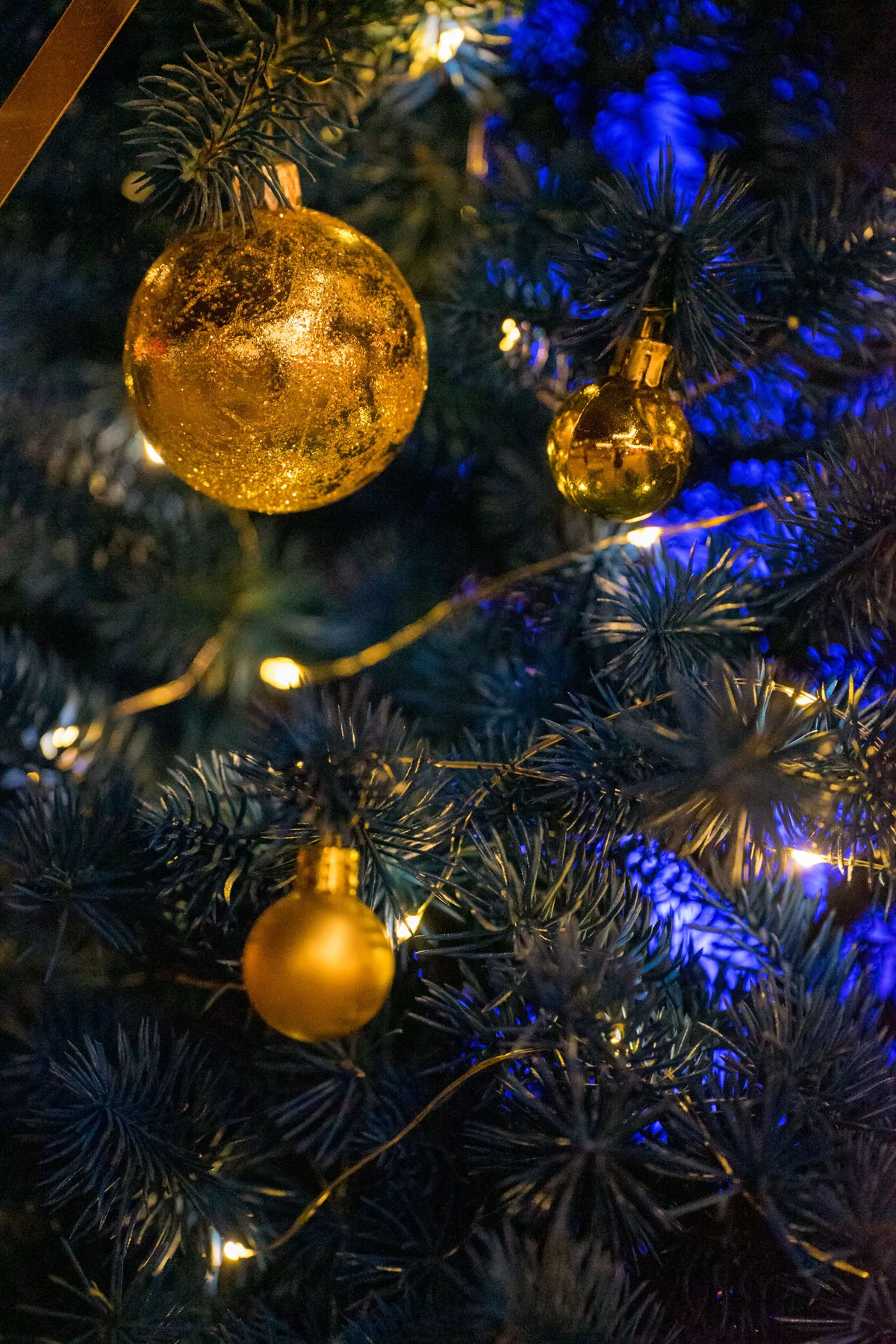 Close-up of gold Christmas ornaments with lights on a festive tree.