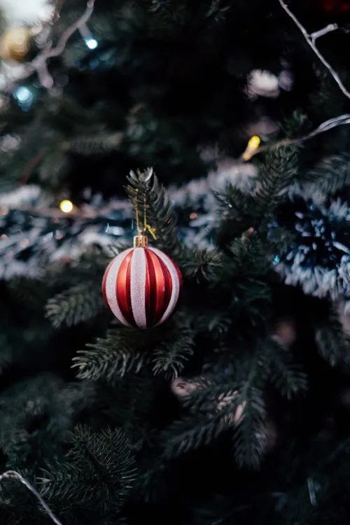 Close Up Photo of a Christmas Ornament · Free Stock Photo