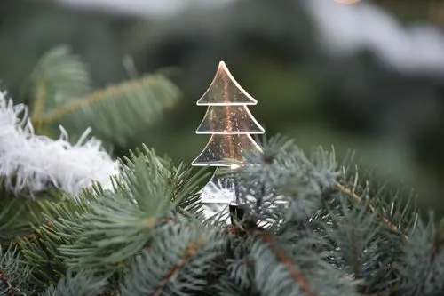 Close-Up Photo of a Christmas Tree Ornament · Free Stock Photo