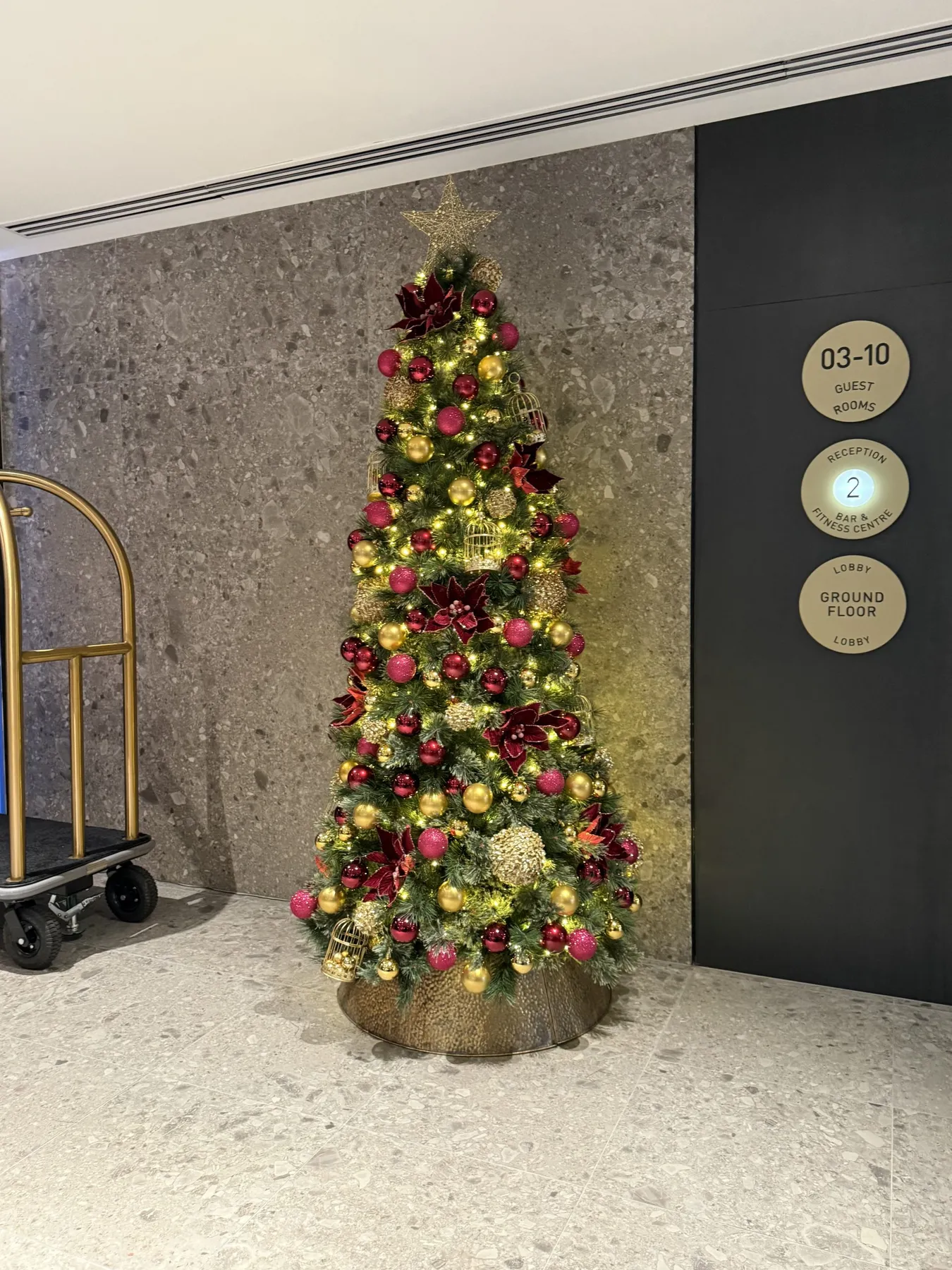 Collections - Baubles & Spruce | Christmas Tree Hire Melbourne