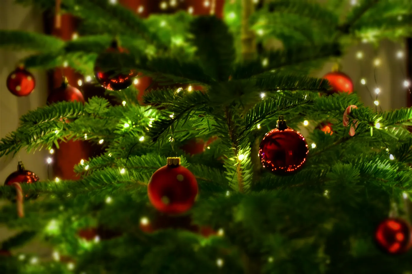 Colorful Christmas Tree and Baubles