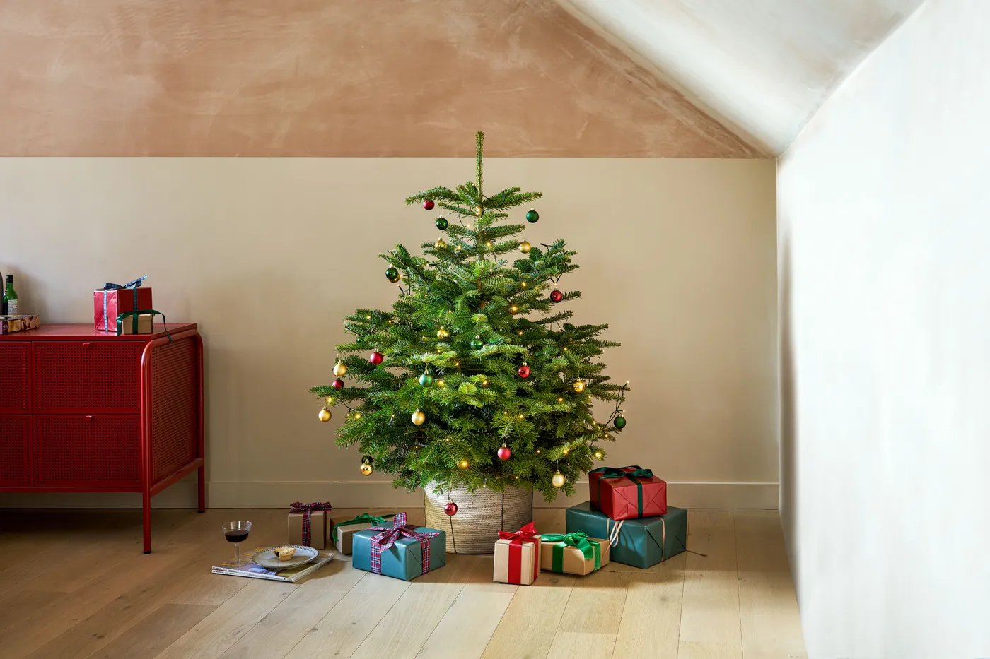 Complete guide to pot-grown Christmas tree care | Patch