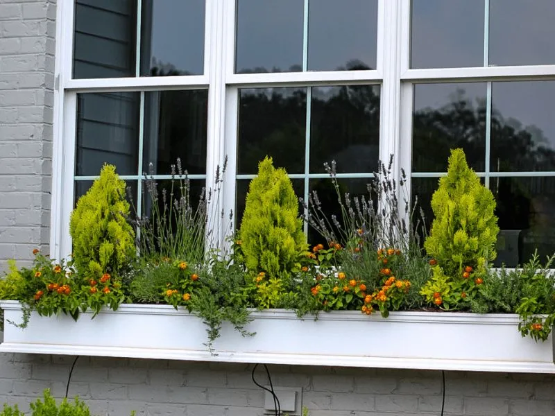 Container Gardens • Cross Creek Nursery and Landscape