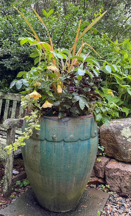 Container Ideas | Garden Foreplay