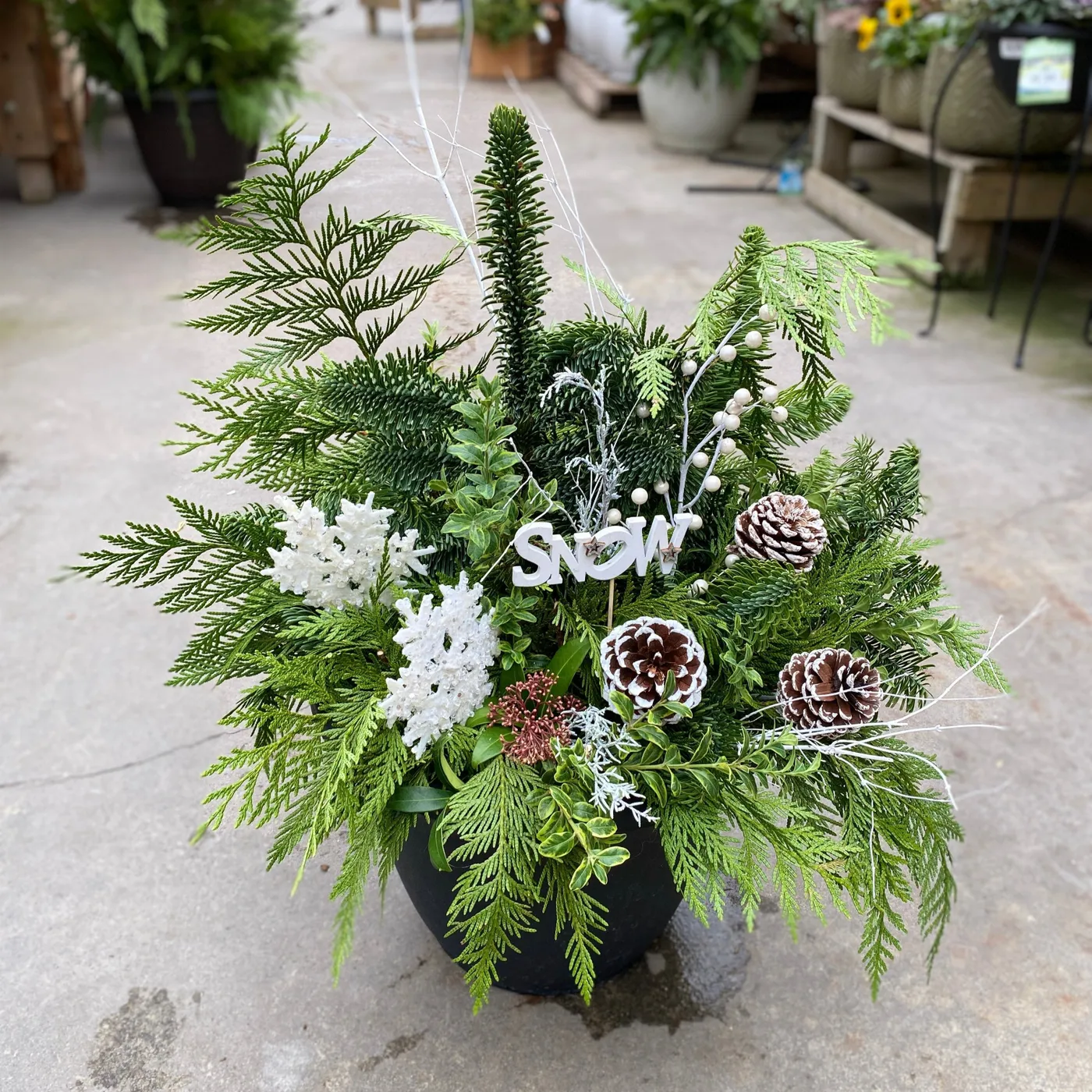 Create a Fresh and Festive Holiday Porch Pot - November 12 (6:30PM) – Amsterdam Garden Centre