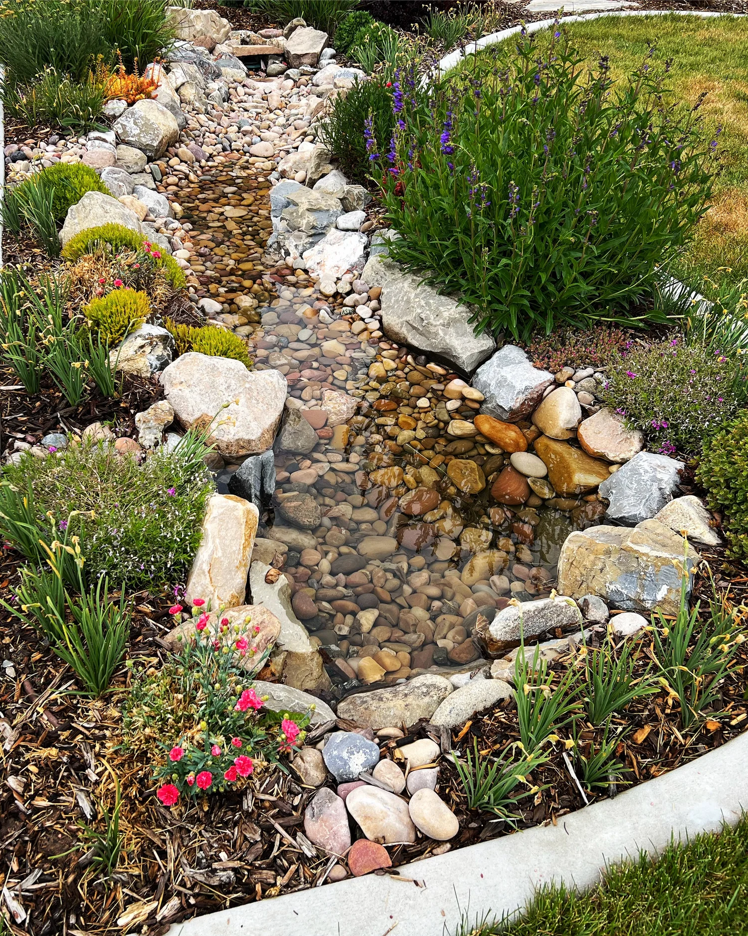Creating a Dry Creek Bed — Our Nesting Space