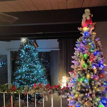 DAN'S CHRISTMAS TREES - Updated October 2026 - 16 Reviews - 27 Photos -  4411 Slauson Ave, Los Angeles, California - Christmas Trees - Phone Number  - Yelp