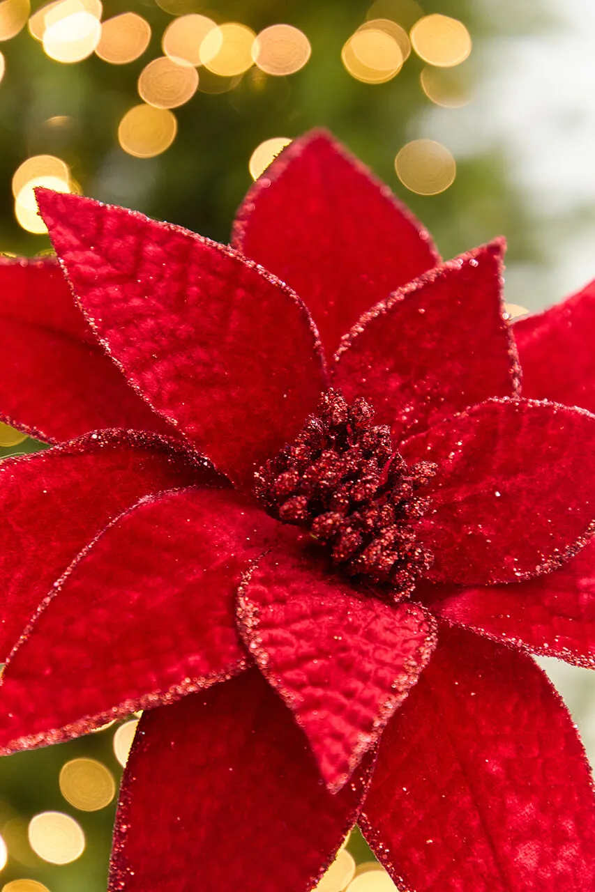 Dark Red Velvet Glitter Edge Jewel Poinsettia Stem #MTX59381