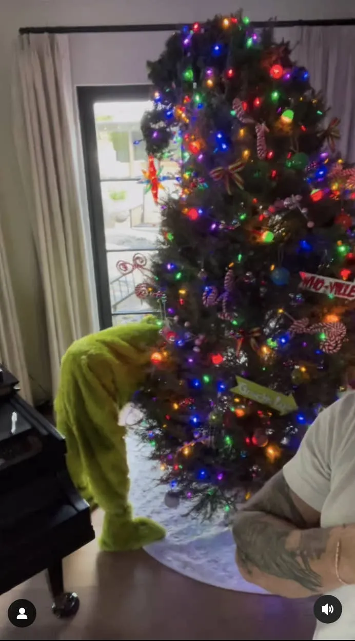 Dax Shepard Posts Kristen Bell's Grinch-Themed Tree