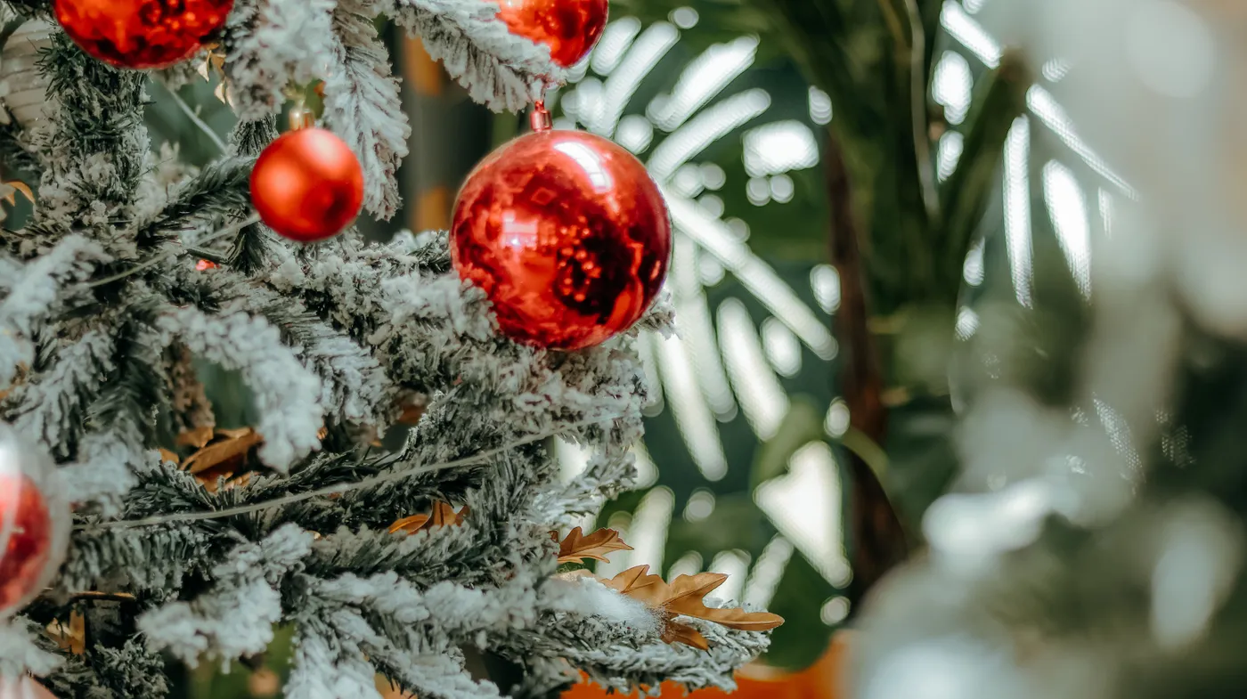 Decorated Christmas tree with red baubles and frosted branches, creating a festive atmosphere.