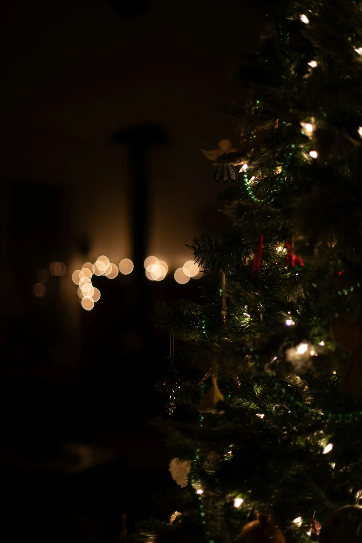 Decorated christmas tree with warm, glowing lights - Free Photo on Unsplash