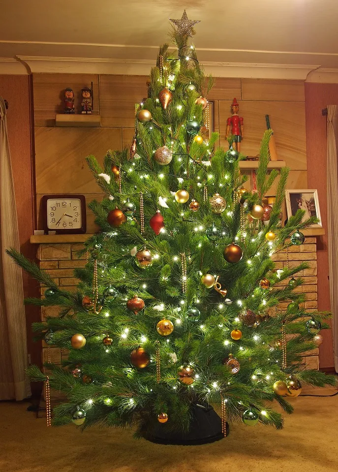Decorated Christmas Trees