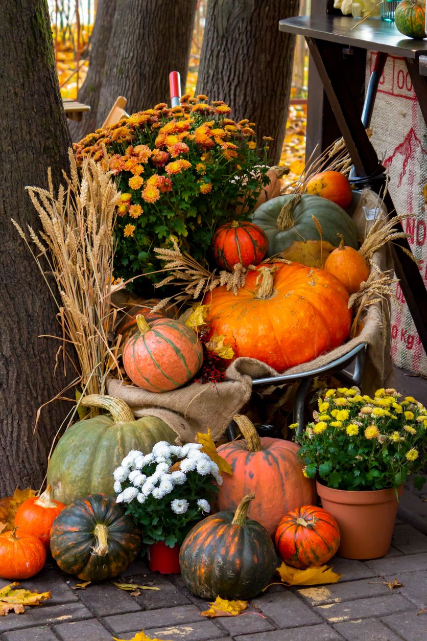 Decorating with Pumpkins, Gourds, and Cornstalks | Cropley's Garden Center