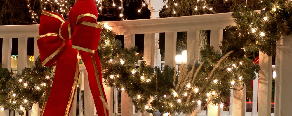 Designed to Shine: My Tips for Elegant, Natural Holiday Curb Appeal —  Artscapes