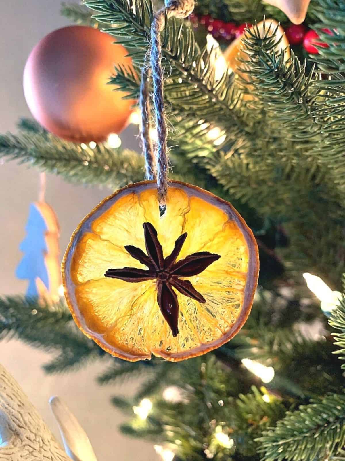Diy Cranberry Garland DIY Orange Slice Garland For The Christmas Tree