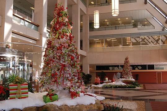 Downtown businesses decorated for the holidays | Jax Daily Record