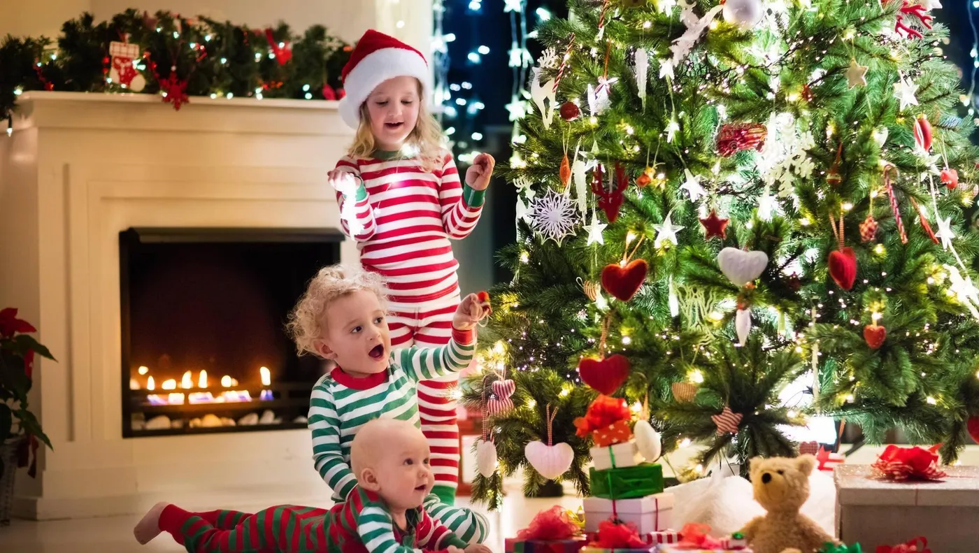 Dreaming of a tree-mendous Christmas: how to set up your spruce