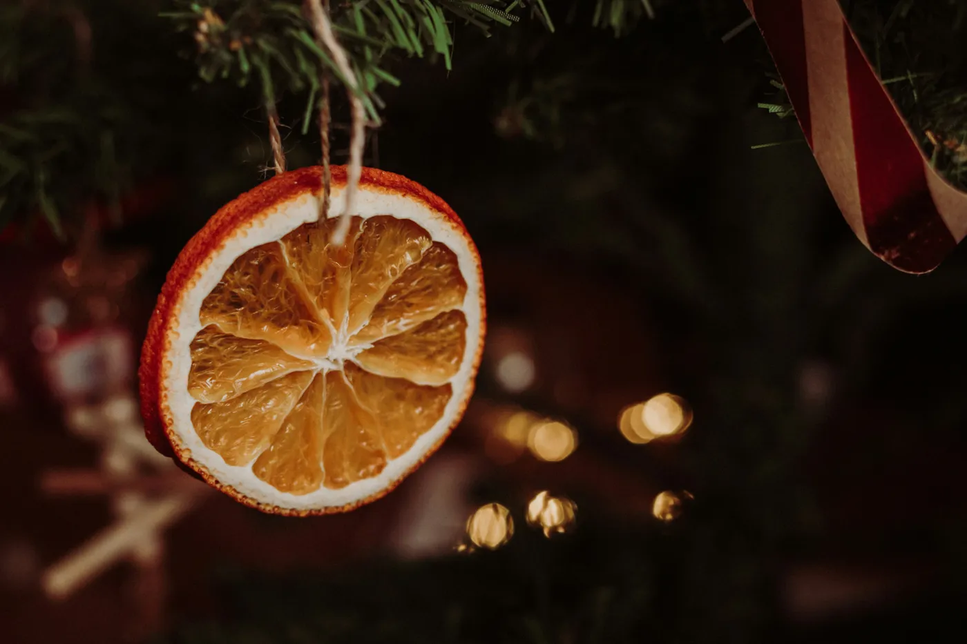 Dried Orange In a Christmas Tree