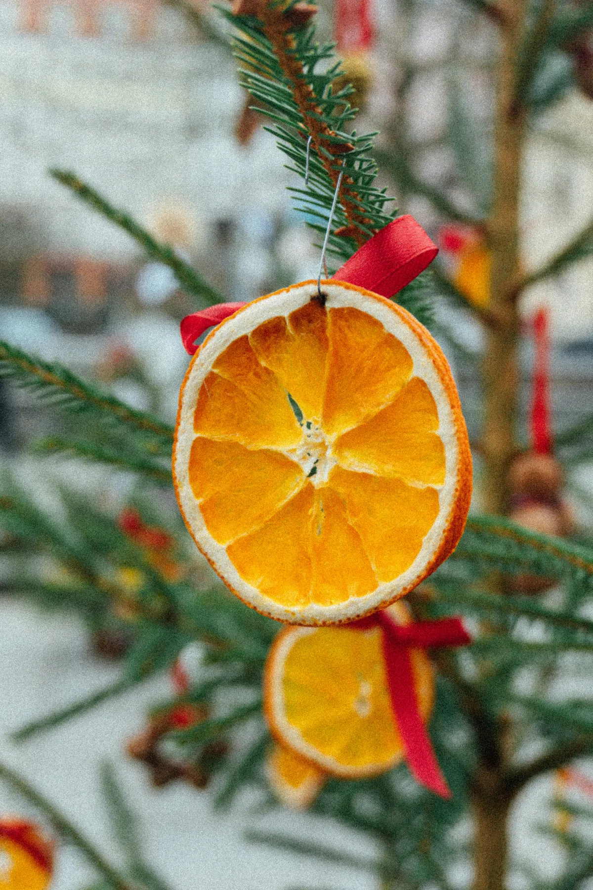 Dried orange slices decorated on a christmas tree