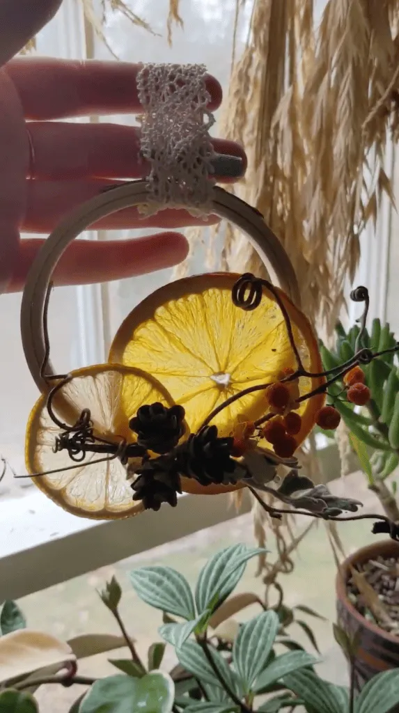 Dried Orange Slices: How To Make Them + Wreath Tutorial