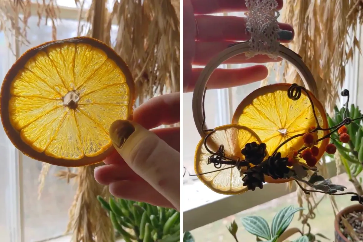 Dried Orange Slices: How To Make Them + Wreath Tutorial