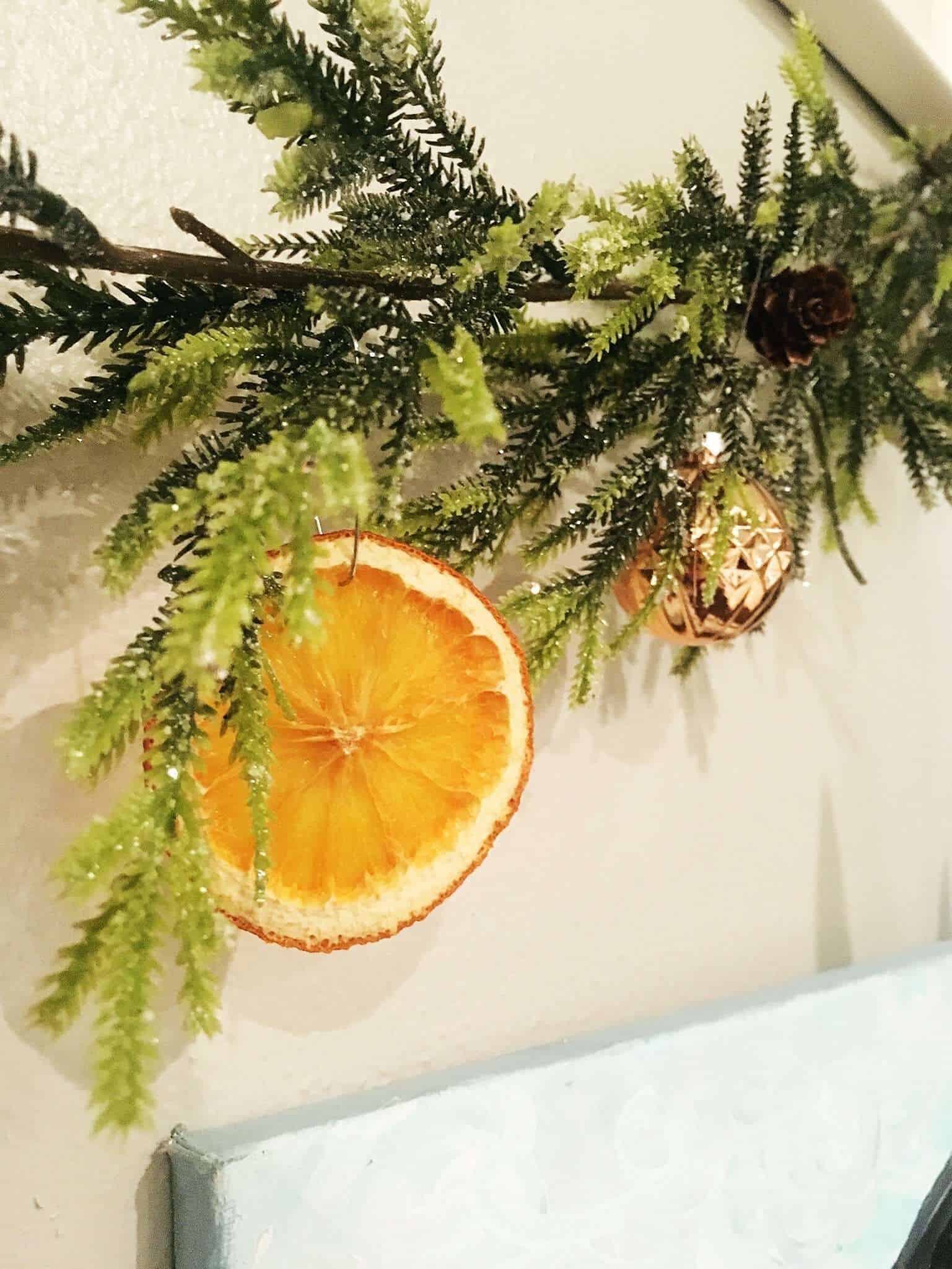 dried oranges Archives - Wildflowers and Wanderlust