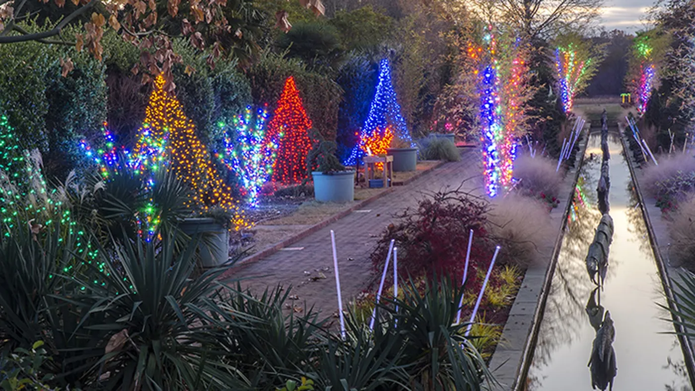 Experience holiday lights like a pro at Holidays at the Garden at Daniel  Stowe Botanical Garden on display now through December 31, admission  $0-$14.95 - Axios Charlotte