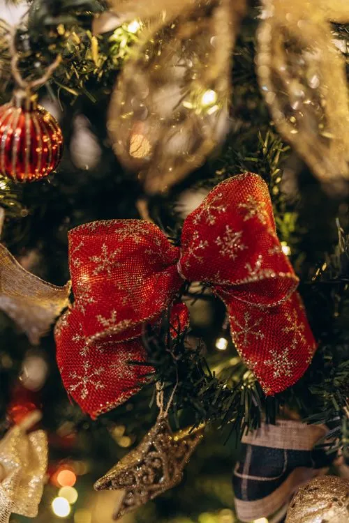 Festive Red Ribbons on Christmas Tree Branches · Free Stock Photo