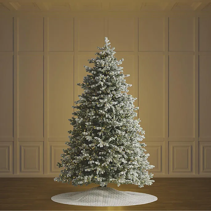 Frosted Snow Spruce Full Profile Tree | Frontgate