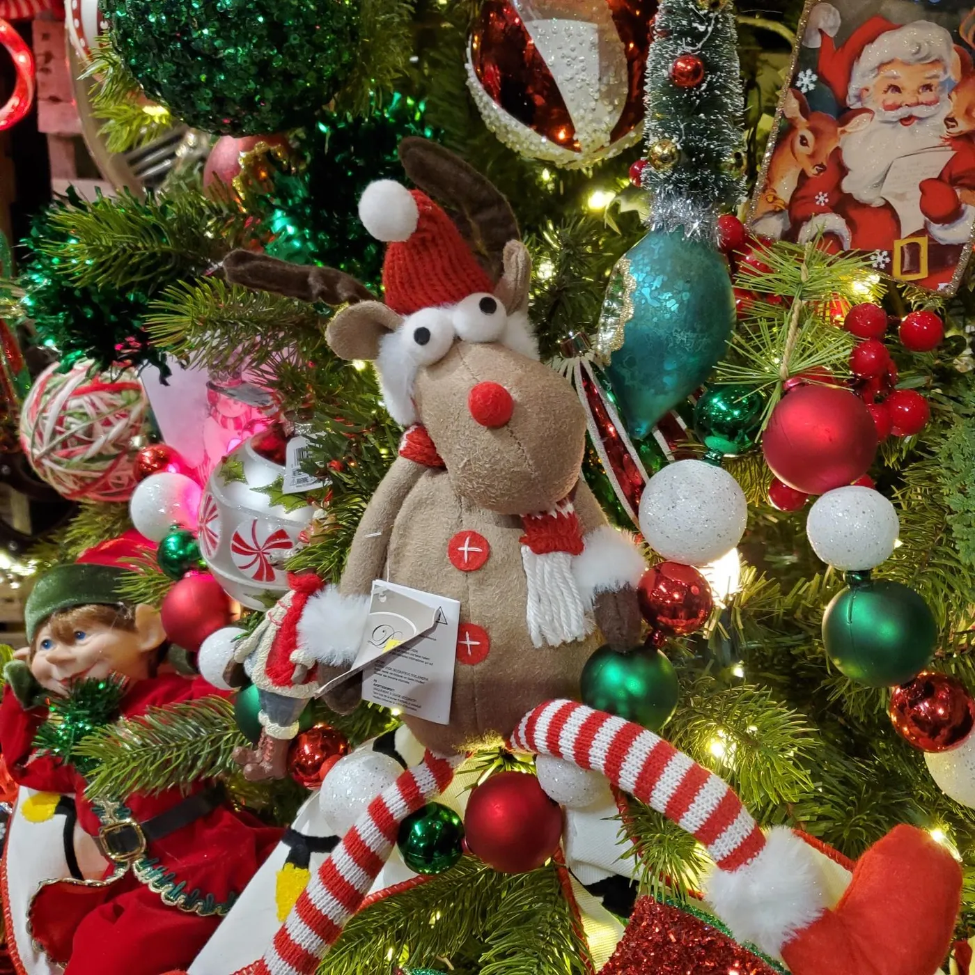 Fun and colorful Christmas ornaments – Down to Earth Living - Garden  Center, Plant Nursery, Outdoor and Patio Furniture, and Christmas Store