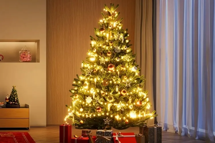 Govee Christmas String Lights 2