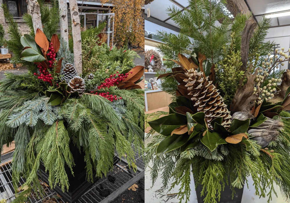 Growing Together: Creating your very own Christmas planter