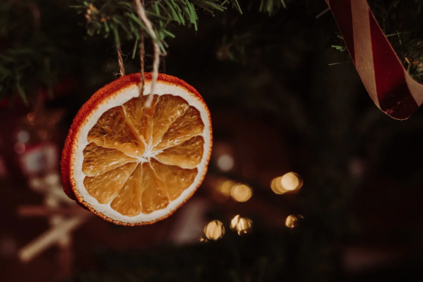 Have a very orange Christmas — The French Press