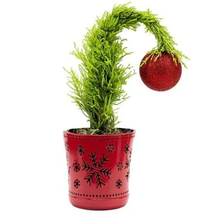 Holiday Cheer Sparkly Red M-inchi Gr-inchch Cypress Christmas Tree (5-inch)  | The Home Depot Canada