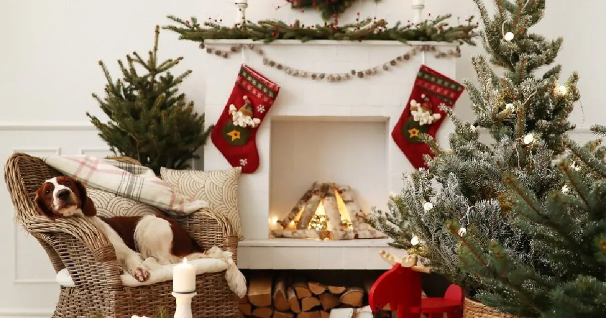 Holiday Home Glow-Up: 5 Must-Try Christmas Décor Theme Ideas | eFavormart