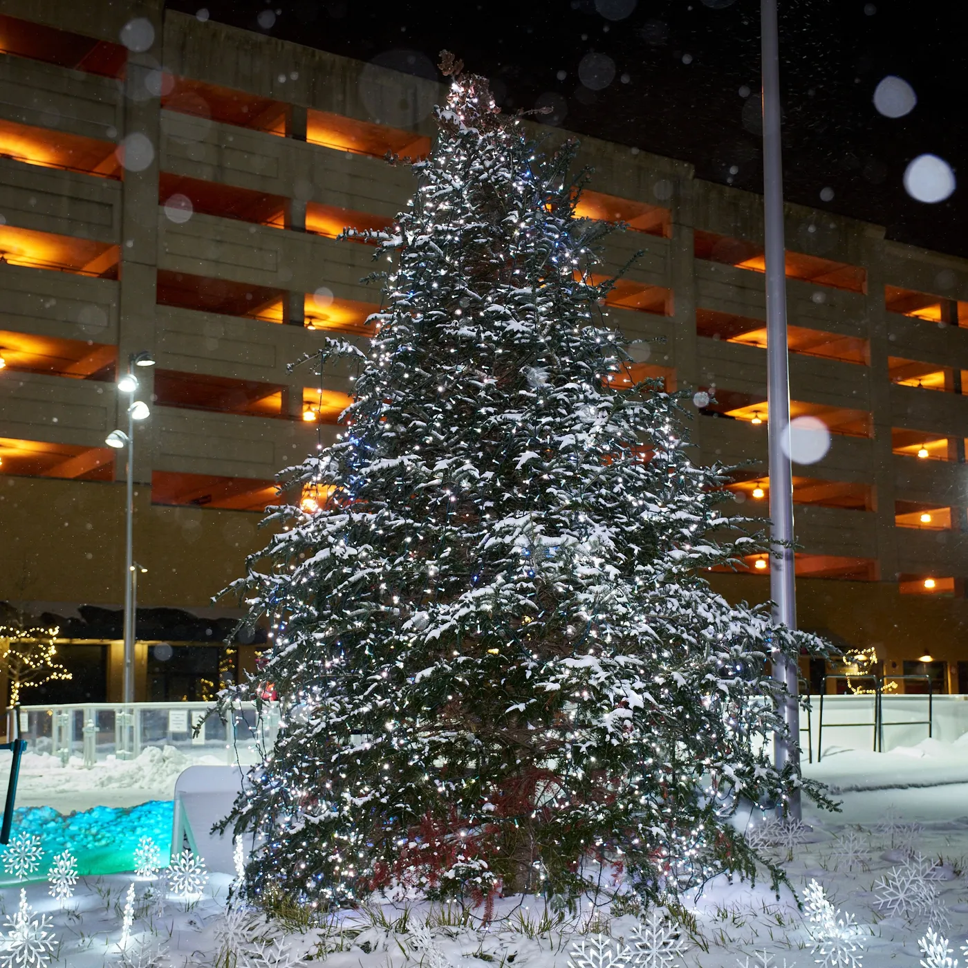 Holiday Lights 2025 - Mike Vrobel Photography