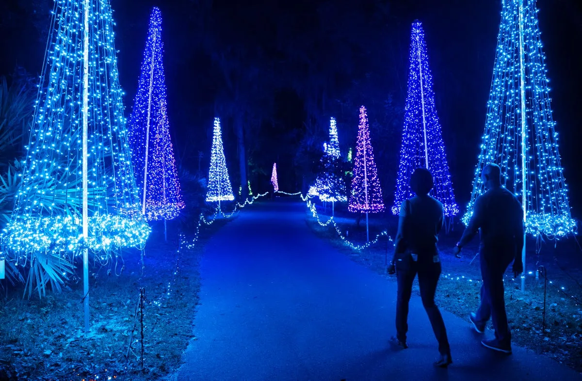 Holiday lights at Jacksonville Arboretum: Glowing Gardens guide