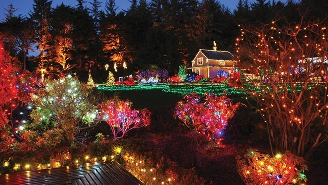 Holiday lights flipped on at Shore Acres State Park