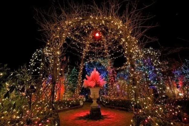 Holiday Lights | Garden Design
