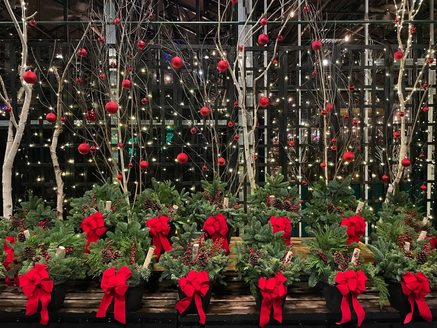 Holiday Wreaths, Garlands, and Poinsettias — Seattle's Favorite Garden  Store Since 1924 - Swansons Nursery
