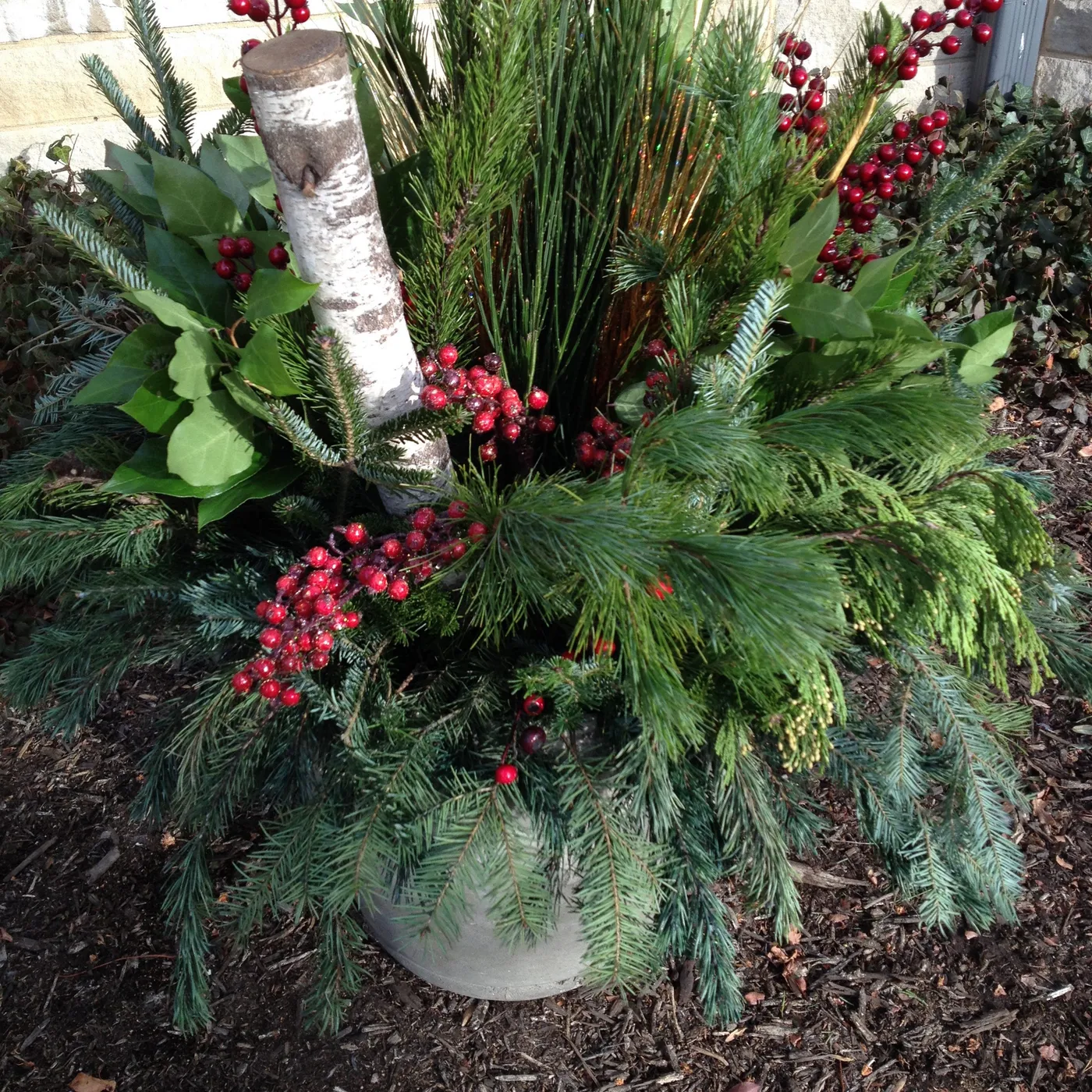 Hoosier Gardener: Evergreen branches brighten up winter arrangements