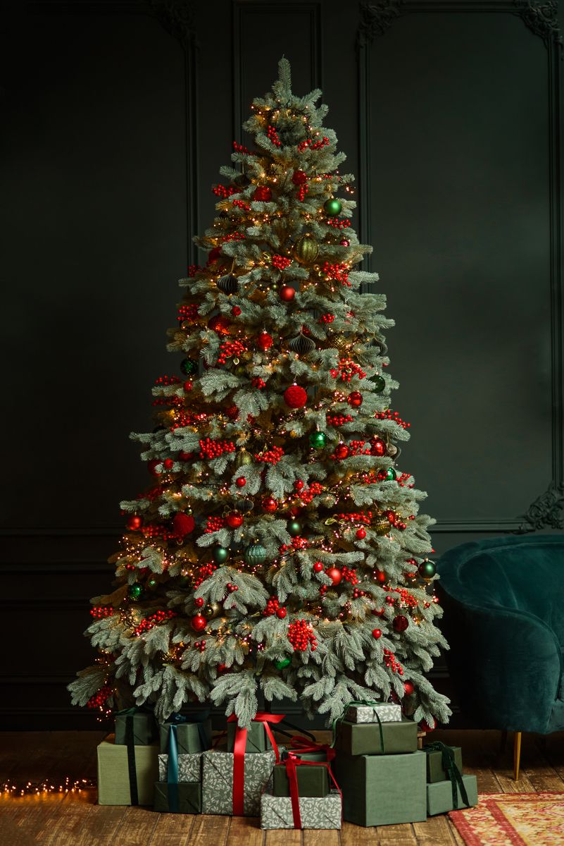 How the Christmas tree became a beloved holiday practice