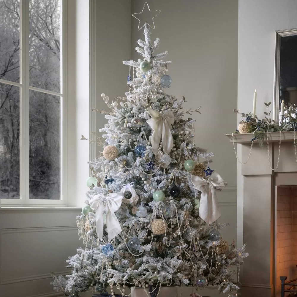 How to Choose a Christmas Tree │ Cox & Cox