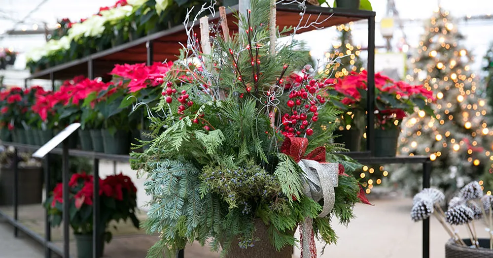 How To Create Stunning Holiday Urns - Westwood Gardens