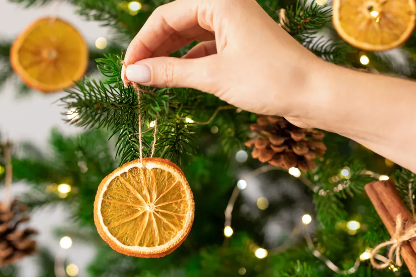 How To Decorate A Wildlife Friendly Tree - Wide Open Spaces