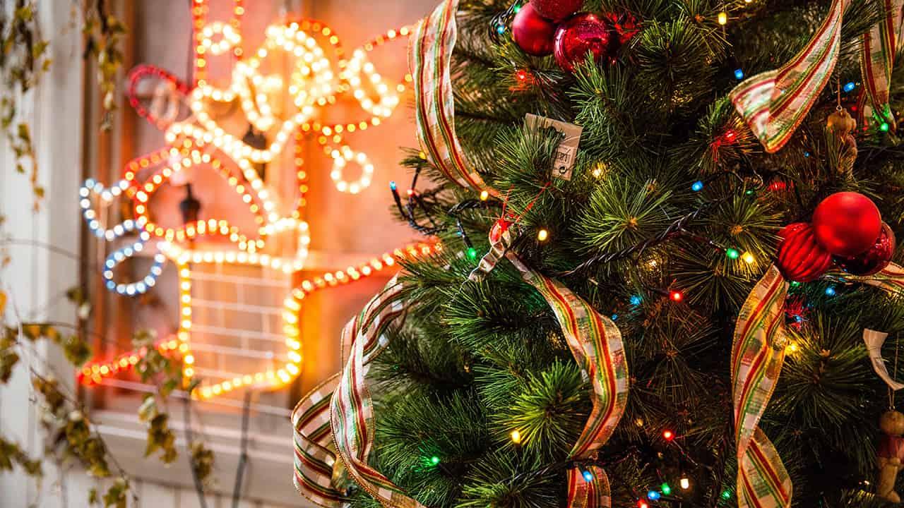 How to Decorate an Outdoor Christmas Tree in Six Easy Steps