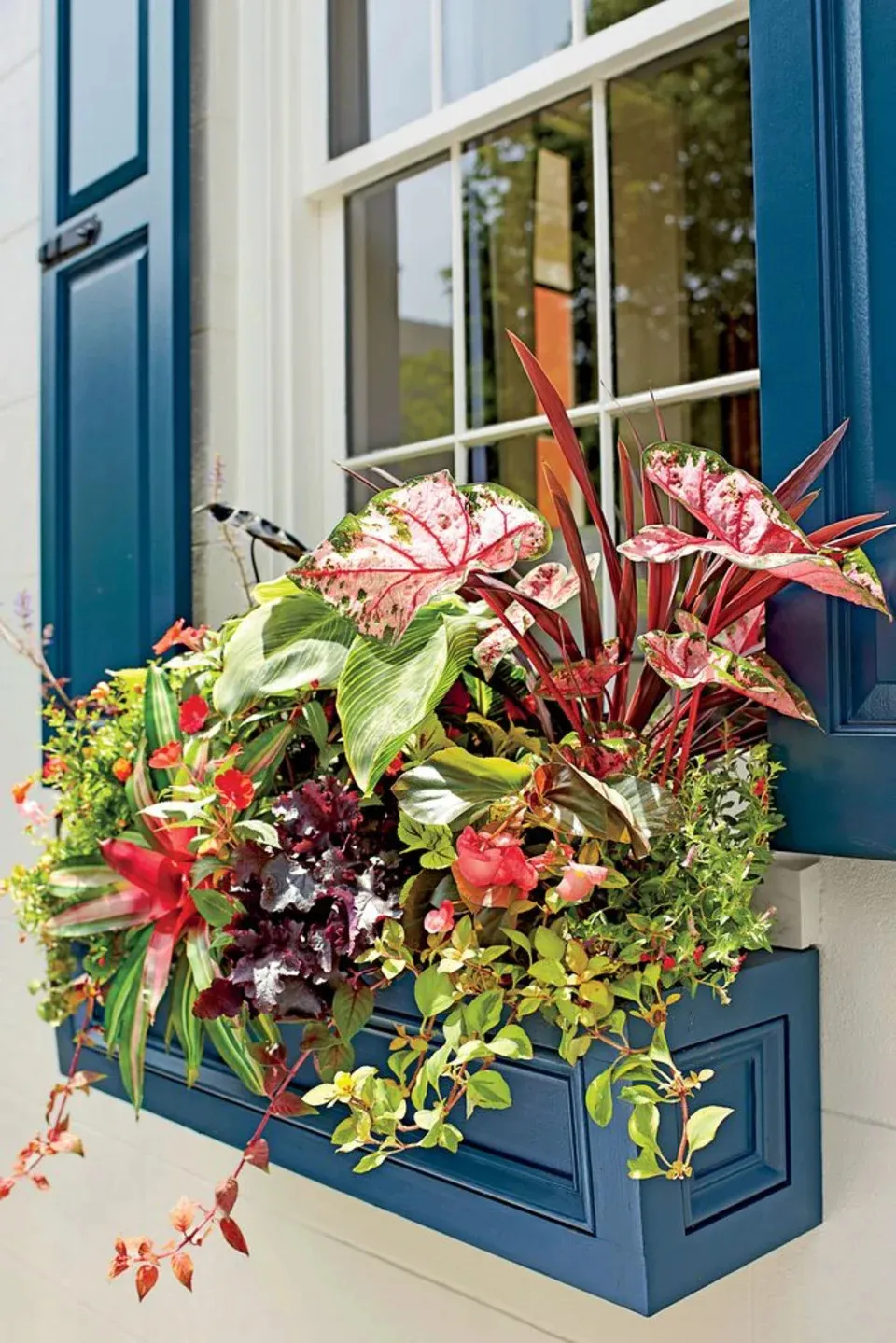 How to Give Your Home Major Southern Charm With Easy Window Boxes