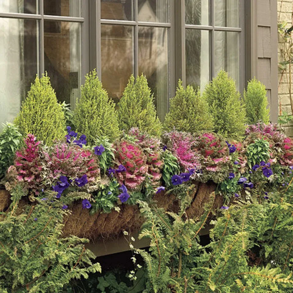 How to Give Your Home Major Southern Charm With Easy Window Boxes