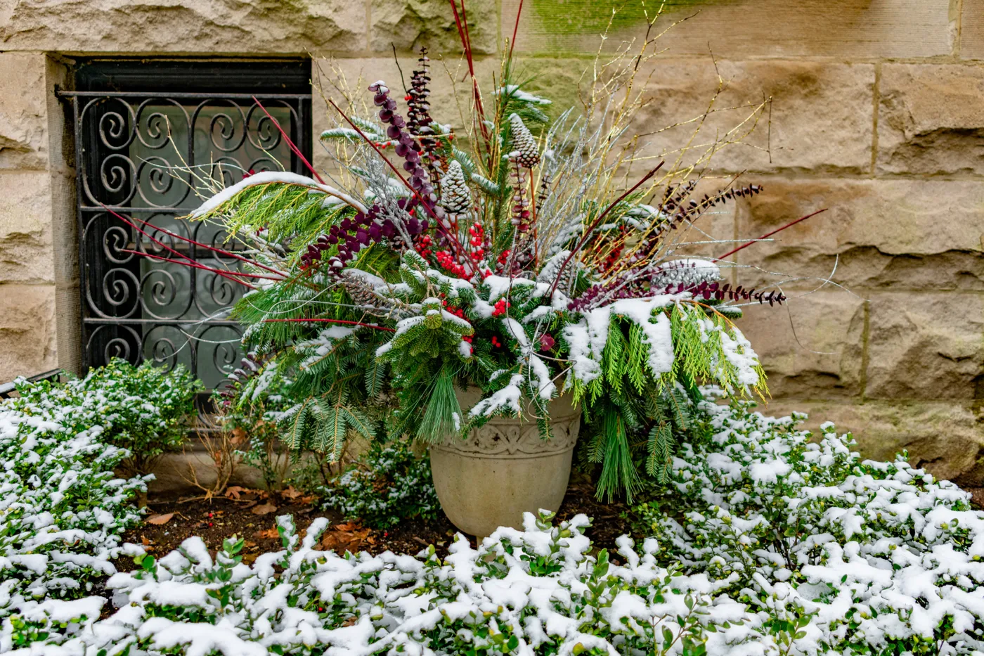 How to Make a Winter Planter for Your Porch - Greenway Biotech – Greenway Biotech, Inc.