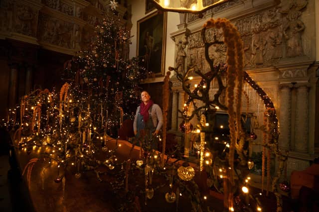 IN PICTURES: Take a look as Christmas comes to Burton Agnes Hall near  Bridlington